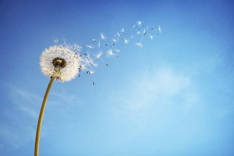 Make Expense Reporting A Breeze make expense reporting a breeze