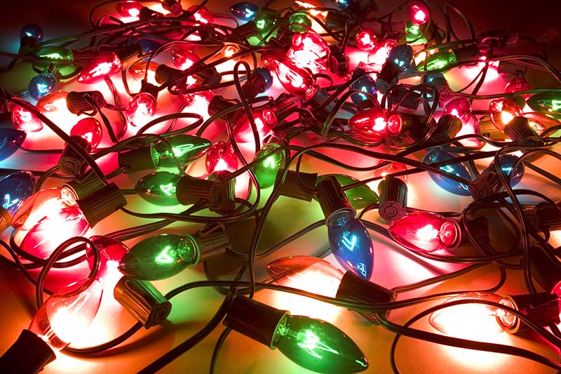 Tackle Your Expense Risks Throughout the Holidays tackle expense risks